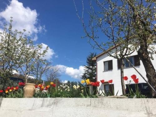 Hostel-Sezanalokev B&B Dış mekan fotoğraf